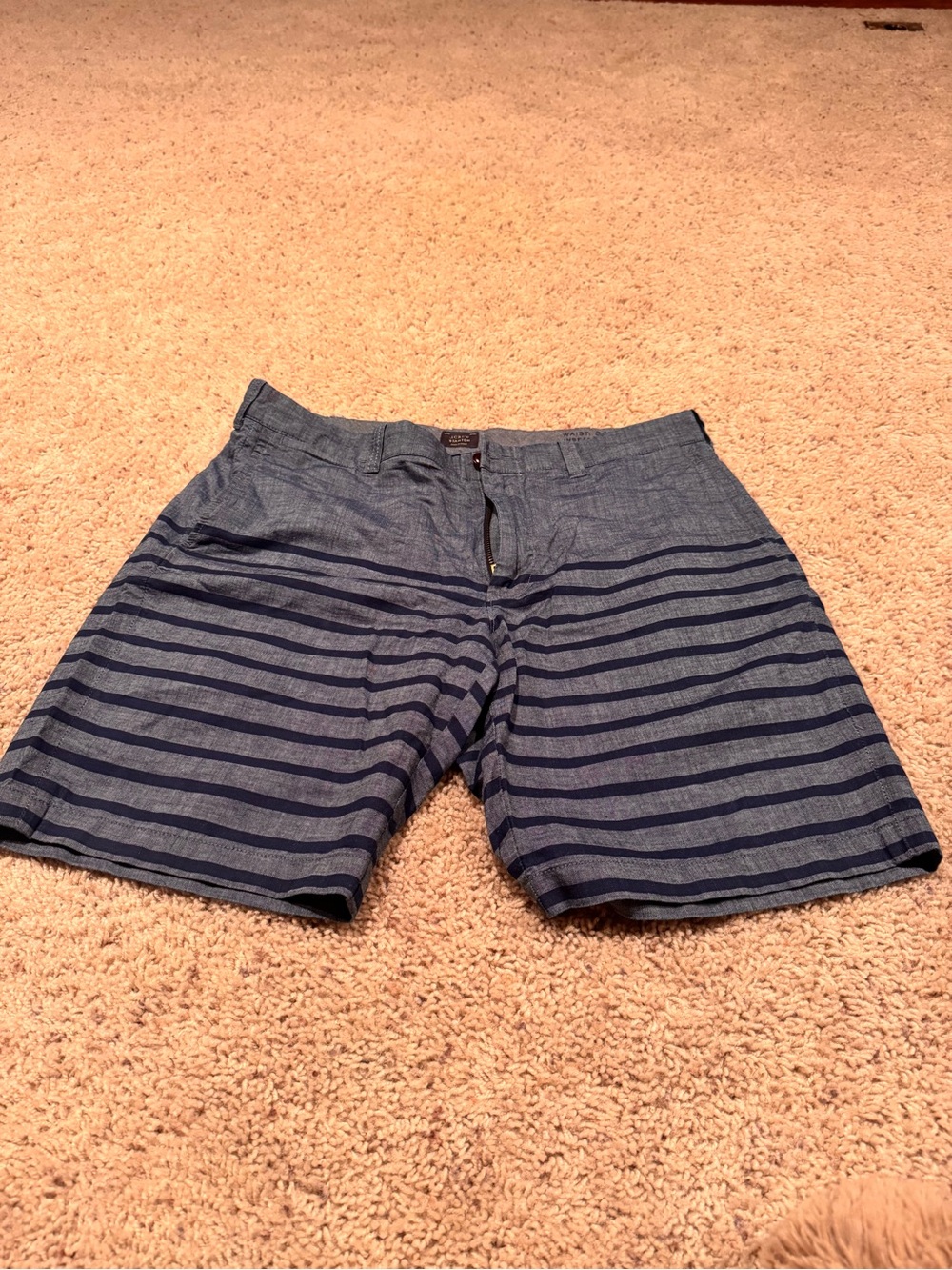 Men's Striped Flat Front Shorts in Navy Blue